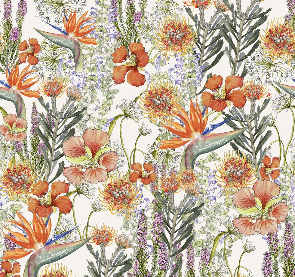 Fynbos Collection