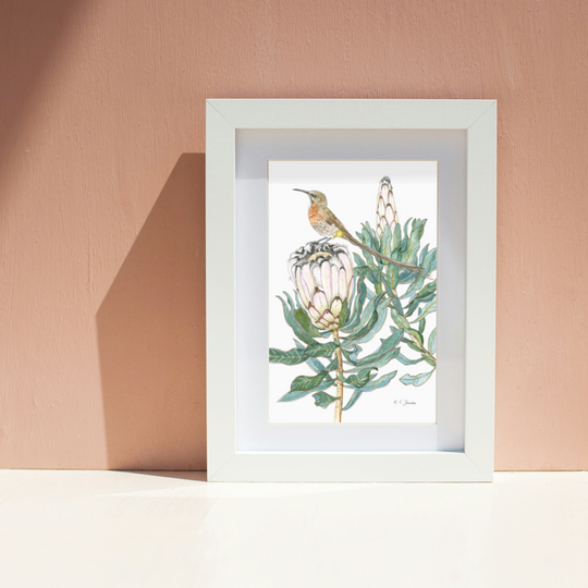 Fine Art print ~ A4