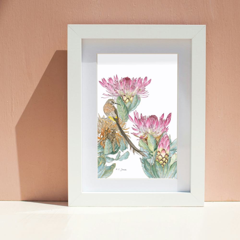 Fine Art print ~ A2